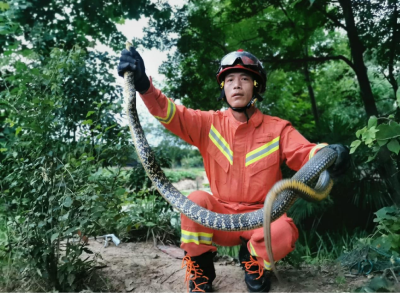 逆行路上“火焰蓝”——记市消防救援大队金湖站副站长金辉