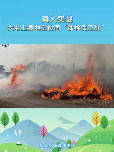 真人实战
大冶上演地空协同“森林保卫战”