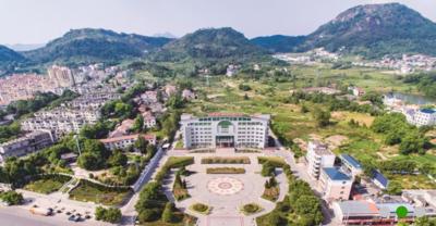 大冶市灵乡镇领导简介