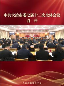 中共大冶市委七届十二次全体会议召开