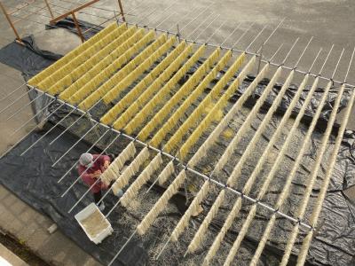 建起粉条加工厂，红薯销路不再愁——京南村“点薯成金”