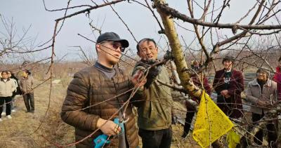 【图片新闻】桃园学艺