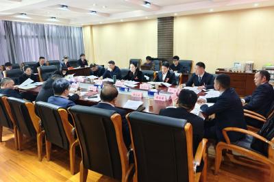 凝心聚力谋发展 建言献策谱新篇 人大代表分组审议政府工作报告等系列报告