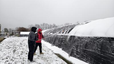低温寒潮来袭，农技“暖流”护田忙