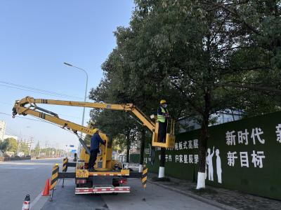 除隐患 优景观 迎新春 我市精准修剪2600余株行道树 