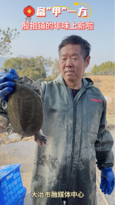 富“甲”一方 殷祖镇的年味上新啦（记者 张蕾）