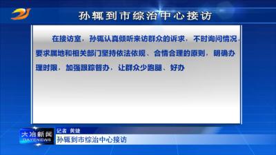 孙辄到市综治中心接访