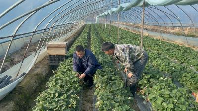 两会精神进田间 委员履职促振兴