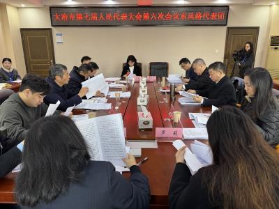 陈罡参加东风路代表团审议