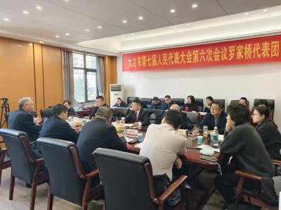 潘小进参加罗家桥、临空经济区·还地桥（东风农场）代表团审议 高水平打造产城融合示范区 加快临空产业集聚区和科技创新承载区建设