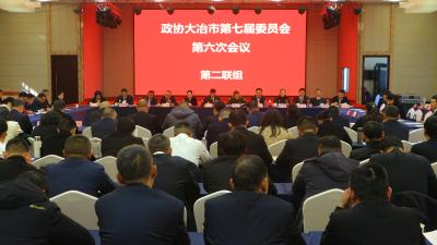 潘小进参加政协第二联组讨论 发挥独特优势 助力大冶发展