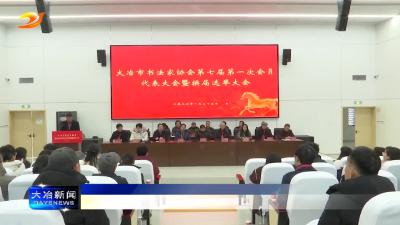 市书法家协会举行换届选举大会