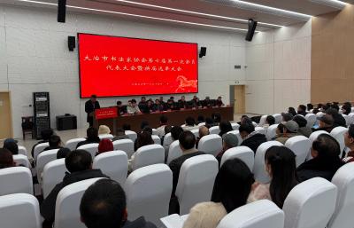 大冶市书法家协会完成换届