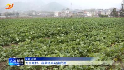 方至畈村： 蔬菜链串起富民路