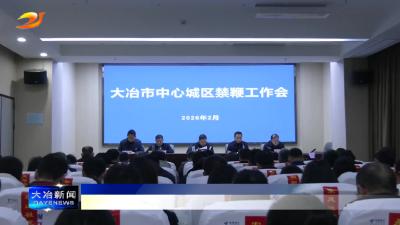 大冶中心城区禁鞭工作启动