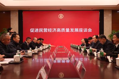 全市民营经济高质量发展座谈会召开
