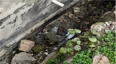 【文明旅游•反面曝光】别让不文明行为划破大冶的新春美景