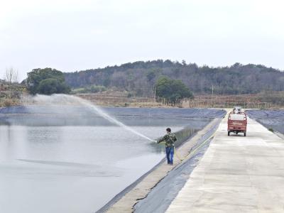【新春走基层·回答“三农九问”】一只甲鱼“拱”开塘桥振兴门