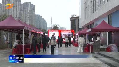 春风送岗聚人才 精准赋能助发展