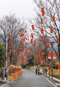 九古奇村张灯结彩喜迎全国“四季村晚”