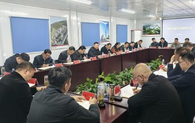 潘小进调研毛铺酒厂项目建设情况