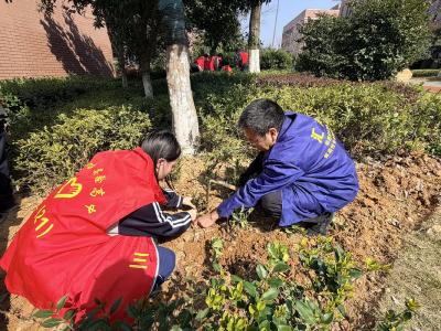 大冶实验高中植树美化校园