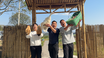 大冶：两代新农人 振兴家乡情