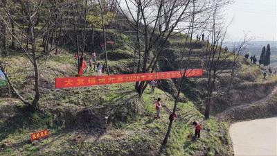 干群携手添新绿 大箕铺镇春季绿化热潮涌动