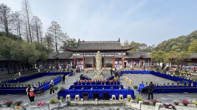 我市举办2026年春季兰花鉴赏会暨百花雅集活动