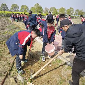 小手植新绿 童心系“三农”