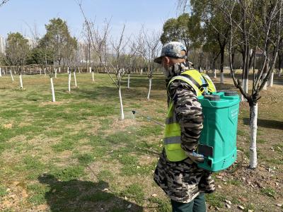 户外野菜莫乱挖  当心“尝鲜”变“尝险”