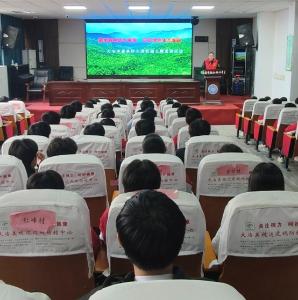 筑牢森林防火屏障 守护绿色生态家园