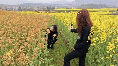 种出春日“调色盘” 京南村“七彩”花海绘就“美丽经济”