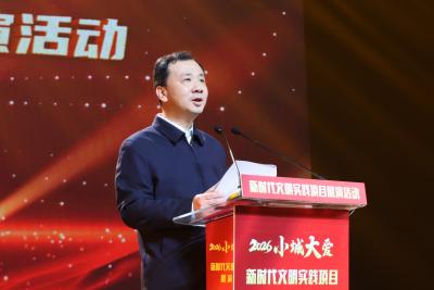 大冶市深化拓展新时代文明实践、建设更高水平文明城市工作推进会议召开