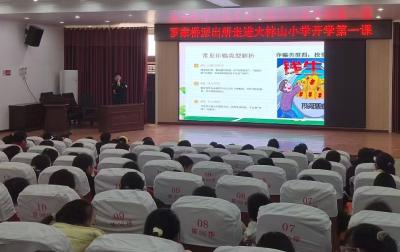 罗家桥派出所走进大林山小学 开展法治安全“开学第一课”