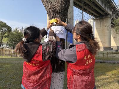 公园绿地野菜切莫乱“尝鲜”