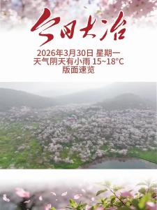 今日大冶 3月30日 版面速览 （制作叶侃）