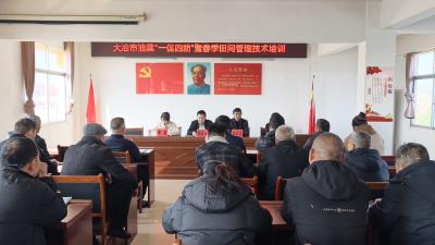 大冶：无人机“一促四防” 护航27万亩油菜丰产丰收