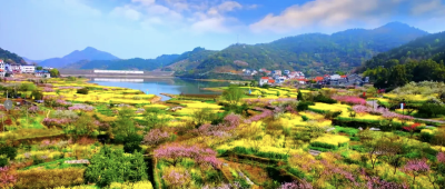 万亩桃花映古村 好戏连台迎客来 保安桃花季本周日启幕