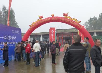 把“稻路”走成“致富路” 金牛镇“订单农业”让稻米香飘万家