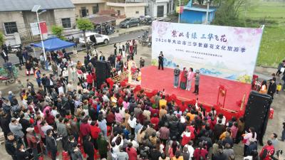 紫气萦村开胜景 藤香绕园引客来  2026年三华紫藤花文化旅游季启幕