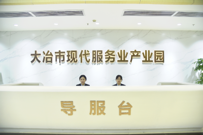 【聚力六大攻坚 加快六城建设 优化升级营商环境】以优良营商环境赋能现代服务业集聚 大冶市现代服务业产业园正式开园