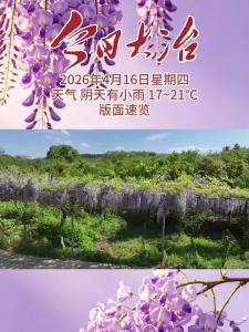 今日大冶 4月16日 版面速览 （制作 方诗琪）