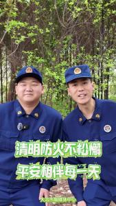 清明防火不松懈，平安相伴每一天。