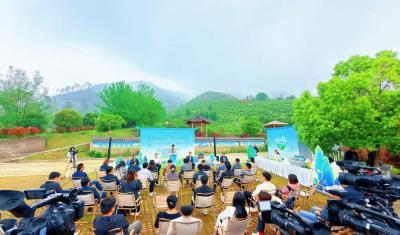 湖北大冶：茶香漫殷祖 古韵醉春风