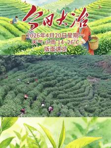 今日大冶 4月20日 版面速览 （制作 方诗琪）