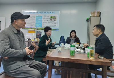 市市场监管局指导企业用好黄金湖公用品牌