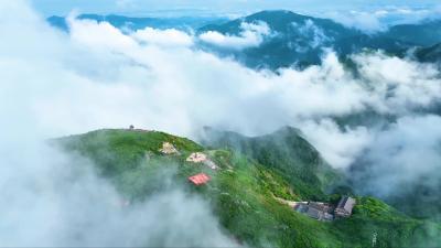 十四五专题片视频号版1920.mp4