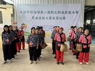 殷祖镇：举办第二届职工职业技能大赛采茶比赛