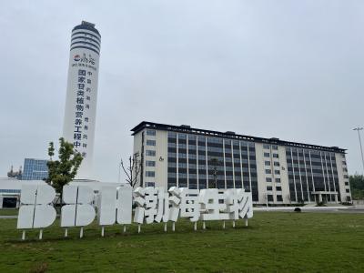 高塔飘落“化肥雪” 地里庄稼“乐开花”